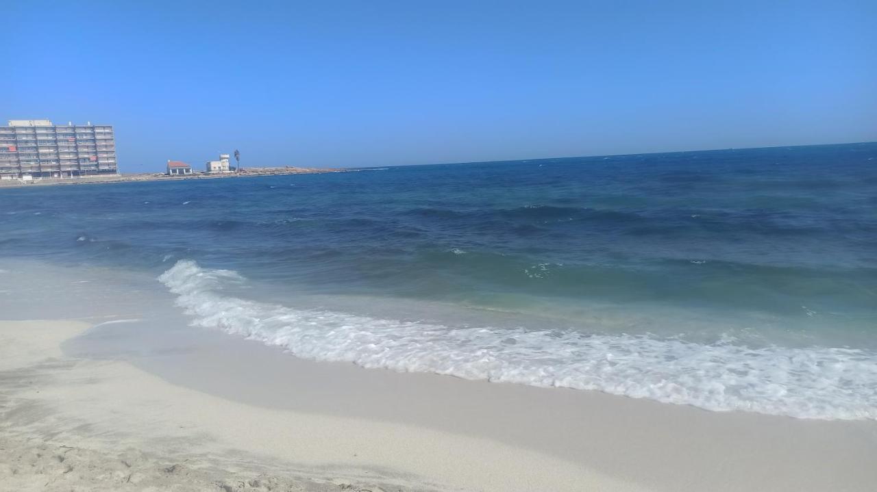 Apartment Only 250M From The Beach Los Locos Torrevieja Exterior photo