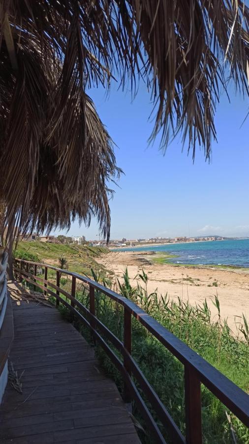 Apartment Only 250M From The Beach Los Locos Torrevieja Exterior photo